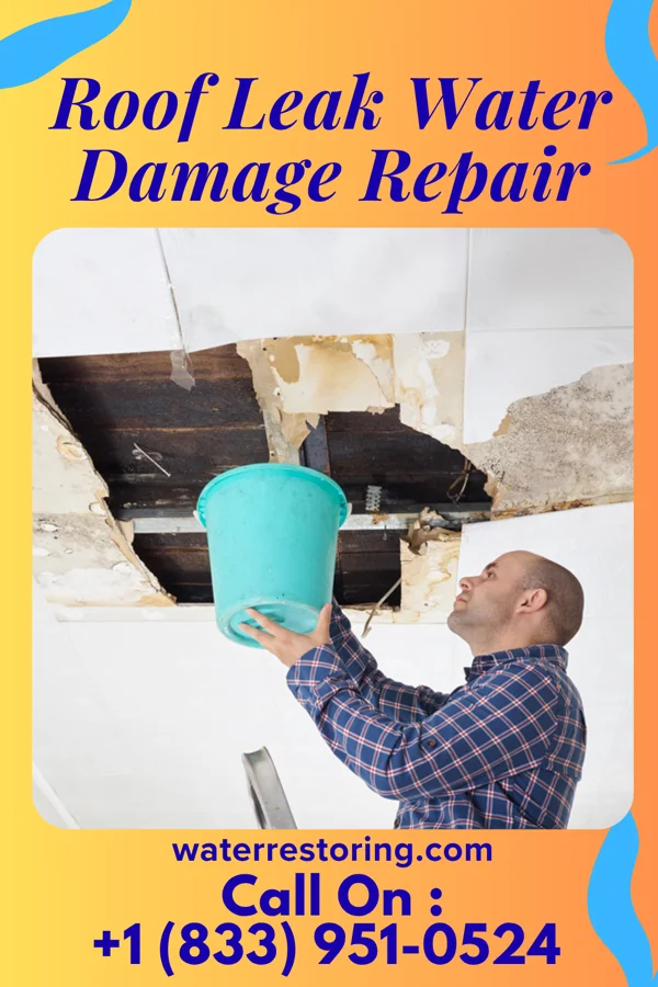 Roof Leak Water Damage Repair in Indio Hills, CA